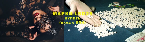 Альфа ПВП Гусев
