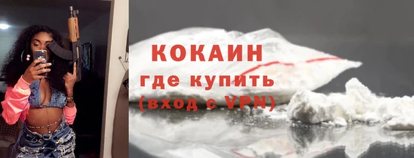 Альфа ПВП Гусев