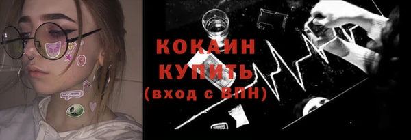 Альфа ПВП Гусев