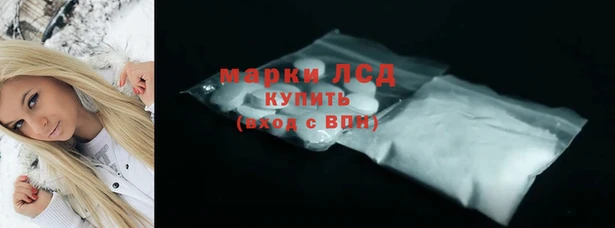 Альфа ПВП Гусев