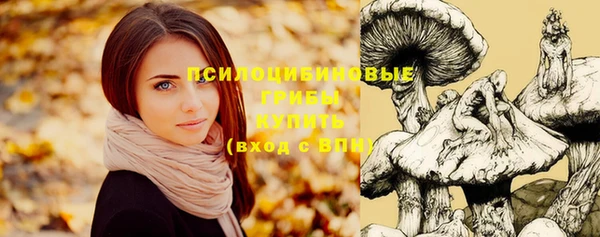 Альфа ПВП Гусев