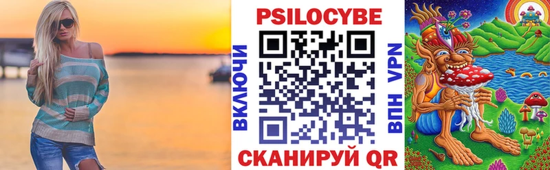 Купить закладки  Новокубанск  Псилоцибиновые грибы GOLDEN TEACHER 